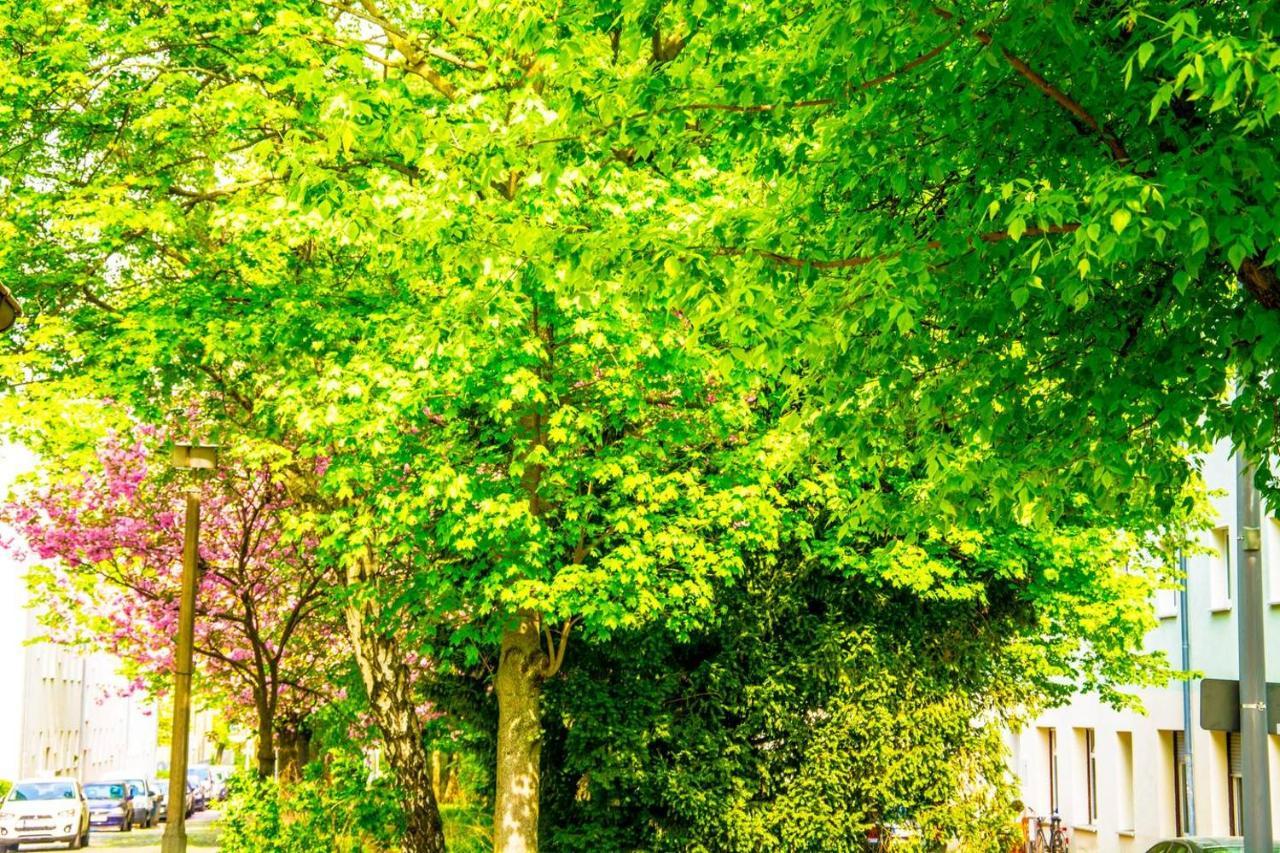 With 3 Bedroom +1.5 Bthrm +a/c In Prenzlauer Berg Casa vacanze Berlino